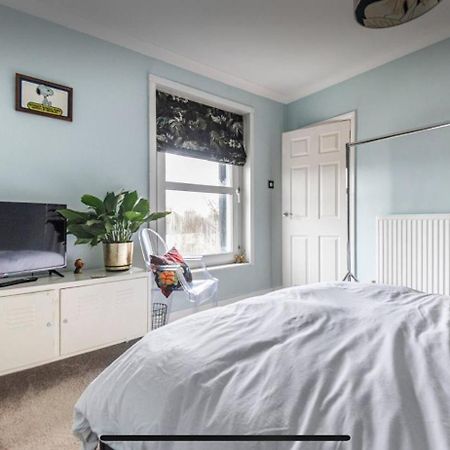 Attractive Comfortable Room In Friendly House Hastings Exteriér fotografie